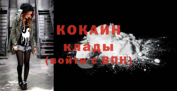 мдпв Новодвинск