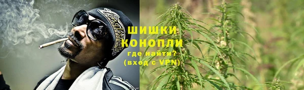 СК Новозыбков