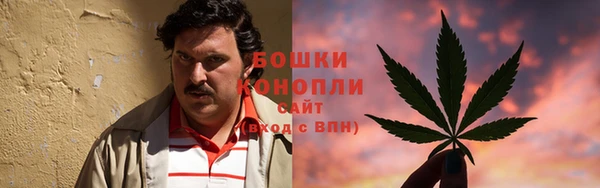 СК Новозыбков