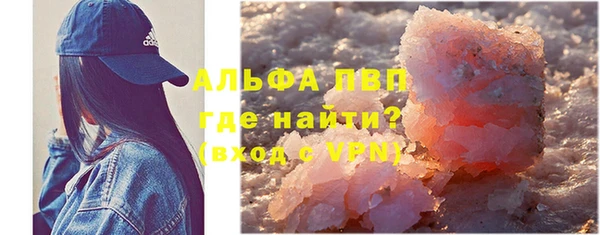 СК Новозыбков