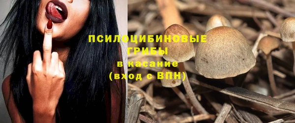 СК Новозыбков