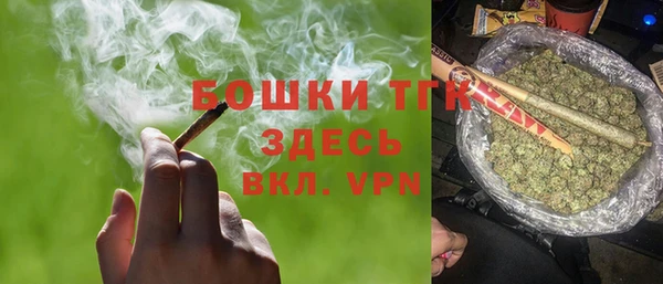 СК Новозыбков