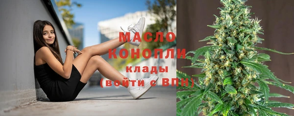 СК Новозыбков