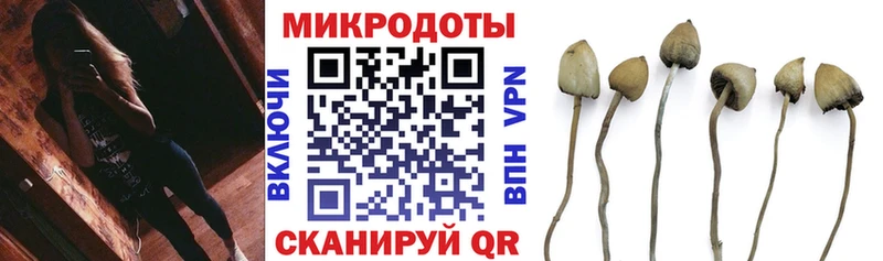 закладка  Лукоянов  Галлюциногенные грибы прущие грибы 